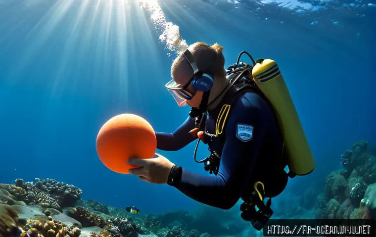 수중 통신 기술 - Photorealistic underwater communication technology scene off the Mediterranean coast of southern Fra...